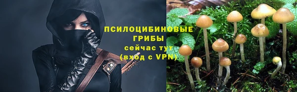 Альфа ПВП Абдулино